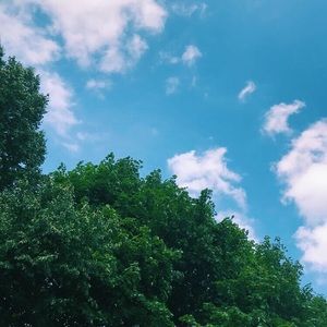 Meet your Posher, Micah